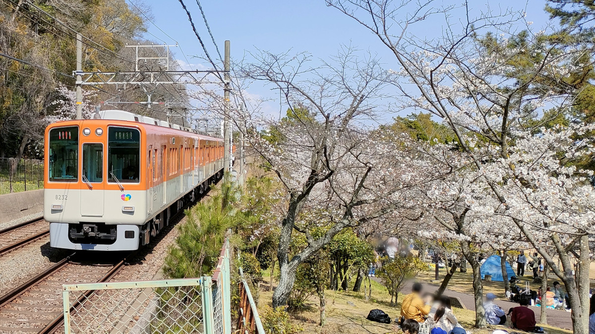 Img202504061327391