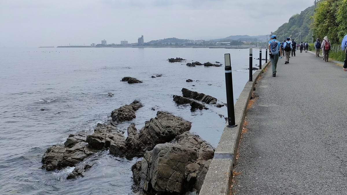 Photo_2