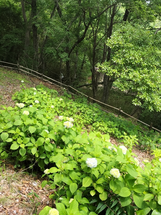 Photo_6