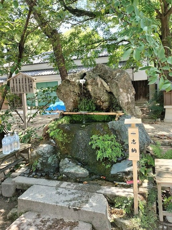 Photo_14