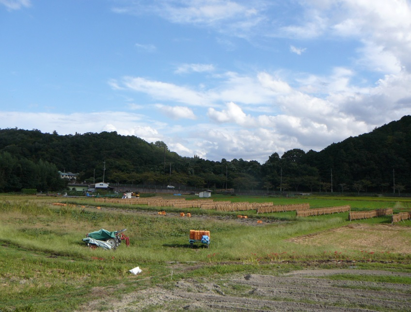 Photo_8