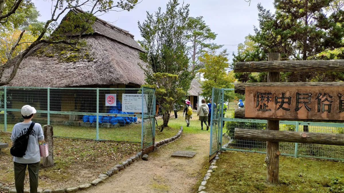 Photo_11