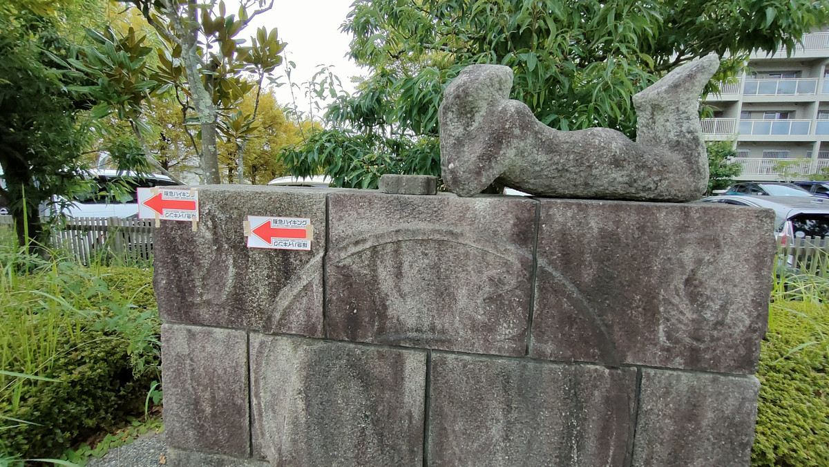 Photo_6
